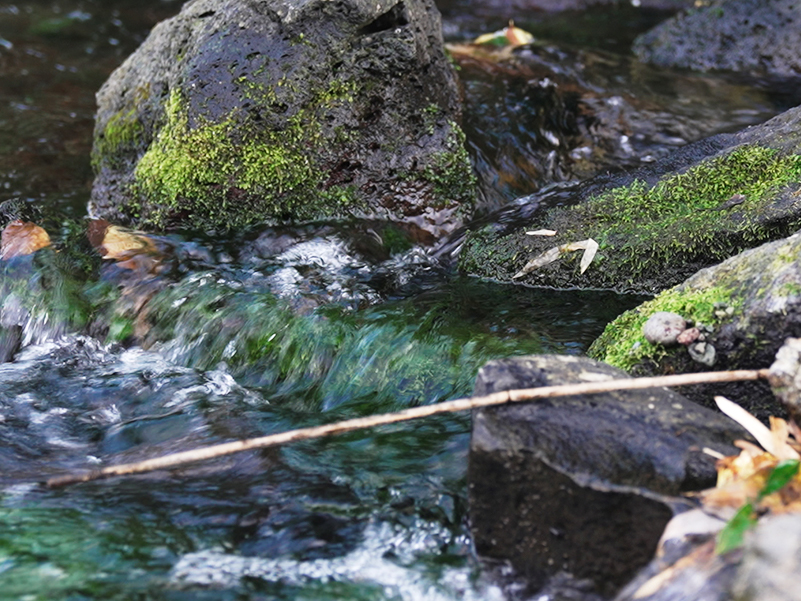 ヤマワケエステート 不動産クラウドファンディング