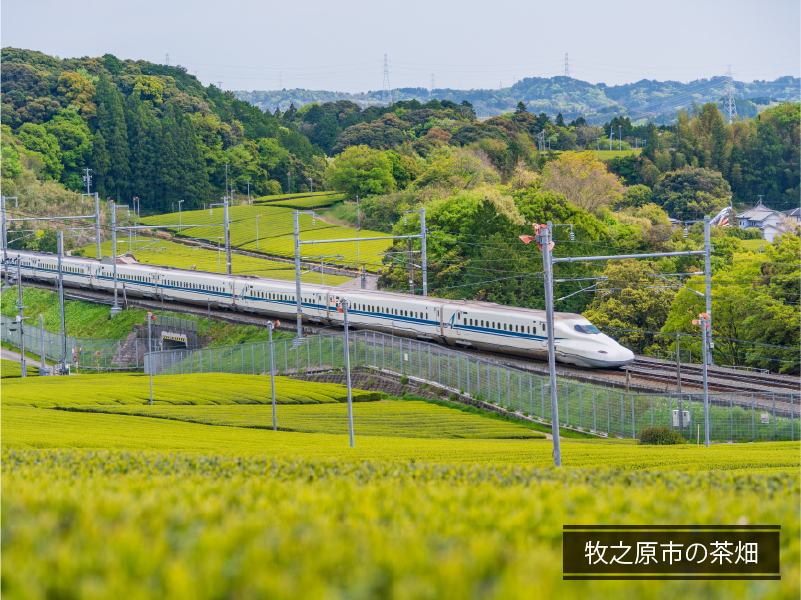 ヤマワケエステート 不動産クラウドファンディング