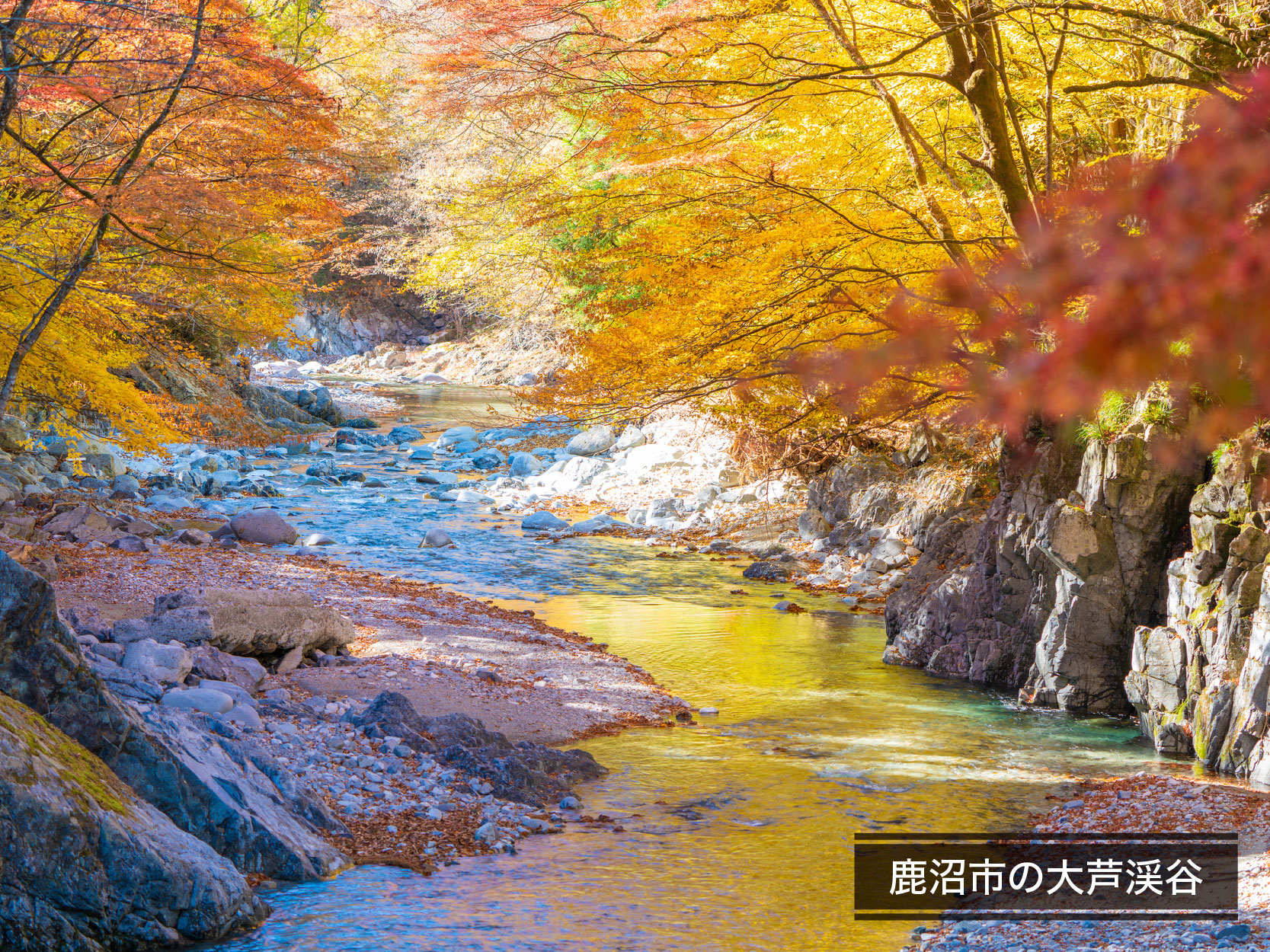 ヤマワケエステート 不動産クラウドファンディング